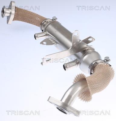 Radiador válvula egr Triscan A/S ref. 8813 15071