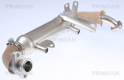 Radiador válvula egr Triscan A/S ref. 8813 15071