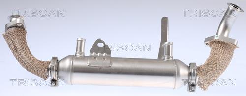 Radiador válvula egr Triscan A/S ref. 8813 15071