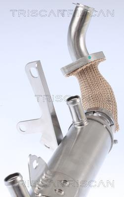 Radiador válvula egr Triscan A/S ref. 8813 15071