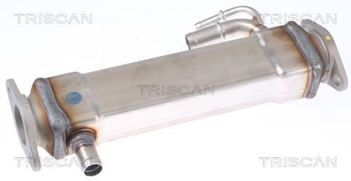 Radiador válvula egr Triscan A/S ref. 8813 15073