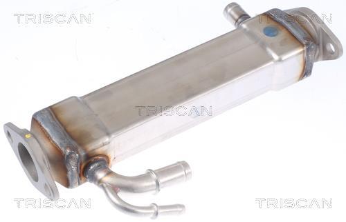 Radiador válvula egr Triscan A/S ref. 8813 15073