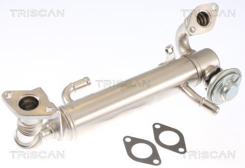 Vanne EGR Triscan A/S 8813 15074