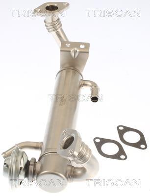 Vanne EGR Triscan A/S 8813 15074