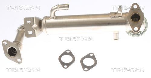 Radiador válvula egr Triscan A/S ref. 8813 15075