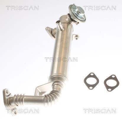 Radiador válvula egr Triscan A/S ref. 8813 15075