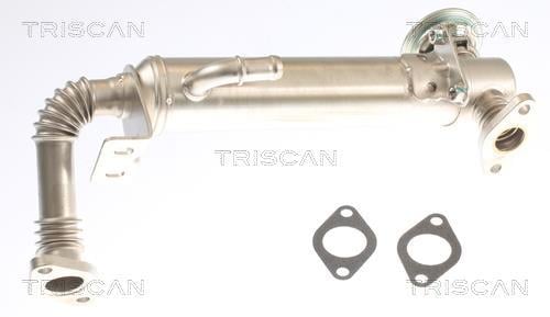Radiador válvula egr Triscan A/S ref. 8813 15075