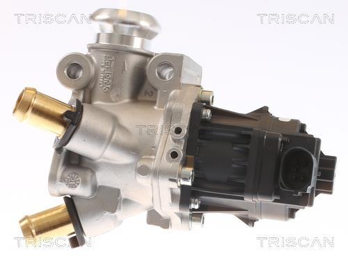 Vanne EGR Triscan A/S 8813 15076