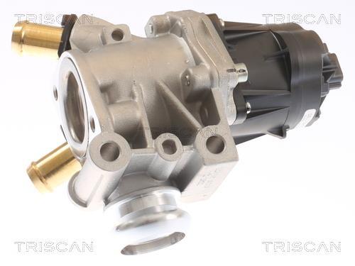 Vanne EGR Triscan A/S 8813 15076