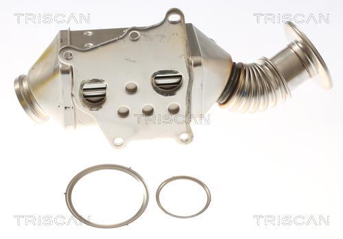 Radiador válvula egr Triscan A/S ref. 8813 15077