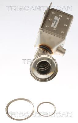Radiador válvula egr Triscan A/S ref. 8813 15077