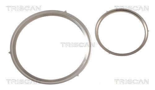 Radiador válvula egr Triscan A/S ref. 8813 15077