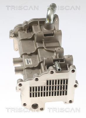 Radiateur, réaspiration des gaz d'échappement Triscan A/S 8813 15078