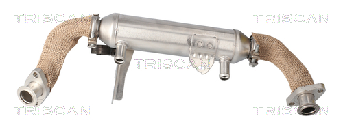 Radiateur, réaspiration des gaz d'échappement Triscan A/S 8813 15079