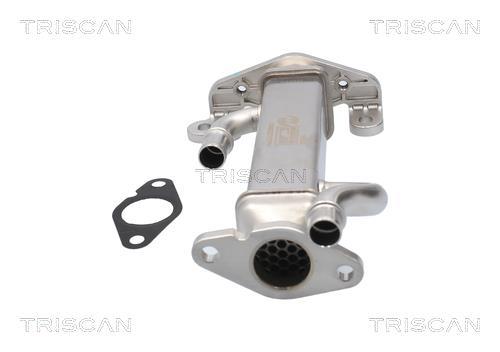Radiador válvula egr Triscan A/S ref. 8813 15080