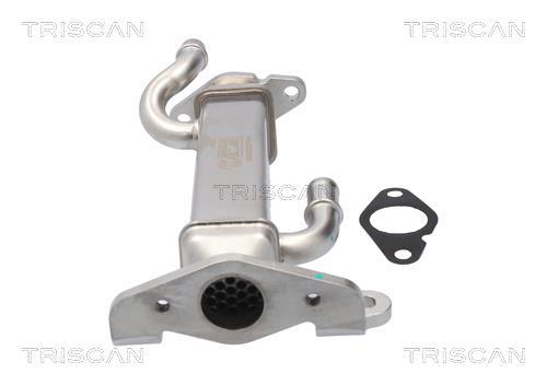 Radiador válvula egr Triscan A/S ref. 8813 15080