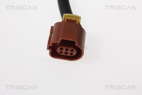 Vanne EGR Triscan A/S 8813 15100