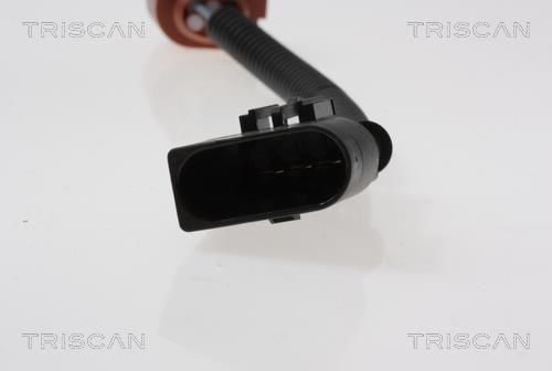 Vanne EGR Triscan A/S 8813 15100