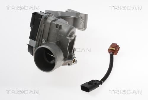 Vanne EGR Triscan A/S 8813 15100
