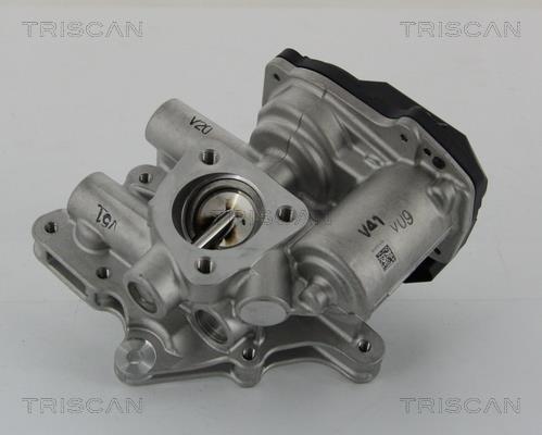 Vanne EGR Triscan A/S 8813 15205