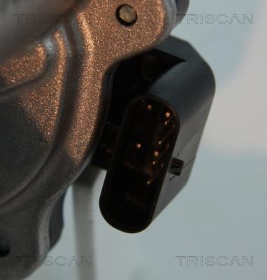 Vanne EGR Triscan A/S 8813 15206