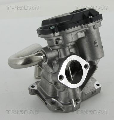 Vanne EGR Triscan A/S 8813 15206