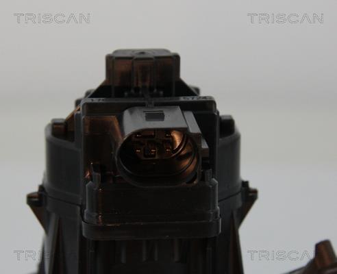 Vanne EGR Triscan A/S 8813 15207