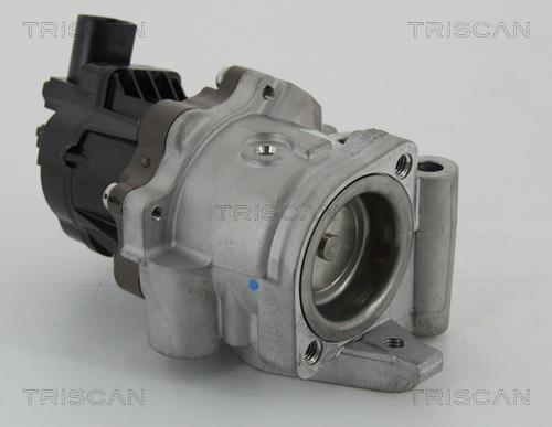 Vanne EGR Triscan A/S 8813 15207