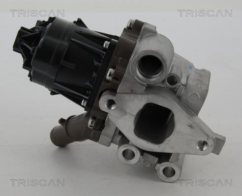 Vanne EGR Triscan A/S 8813 15207