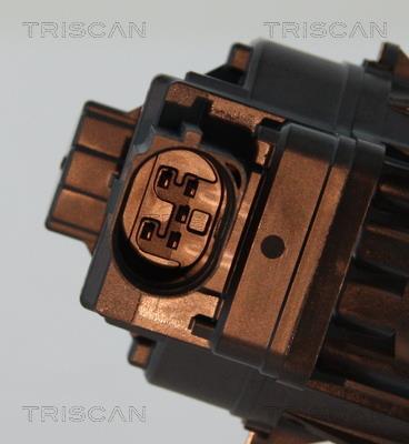 Vanne EGR Triscan A/S 8813 15208