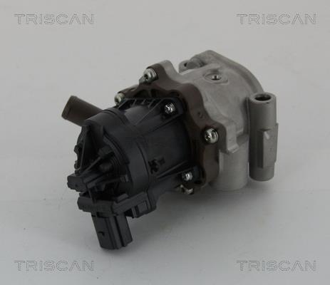 Vanne EGR Triscan A/S 8813 15208