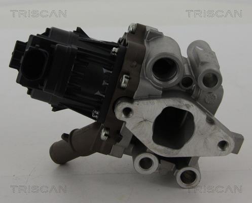 Vanne EGR Triscan A/S 8813 15208