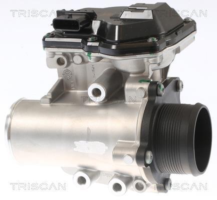 Vanne EGR Triscan A/S 8813 16002