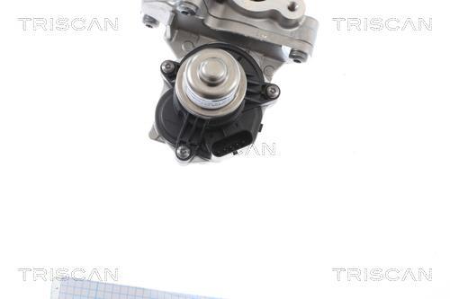 Vanne EGR Triscan A/S 8813 16005