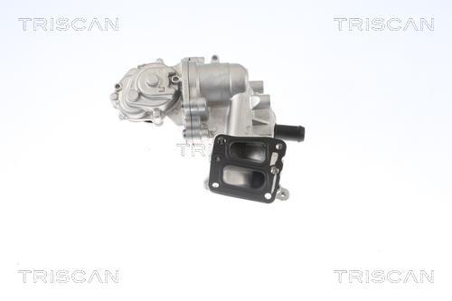 Vanne EGR Triscan A/S 8813 16005