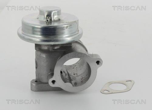 Vanne EGR Triscan A/S 8813 16010