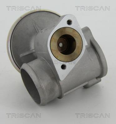 Vanne EGR Triscan A/S 8813 16010