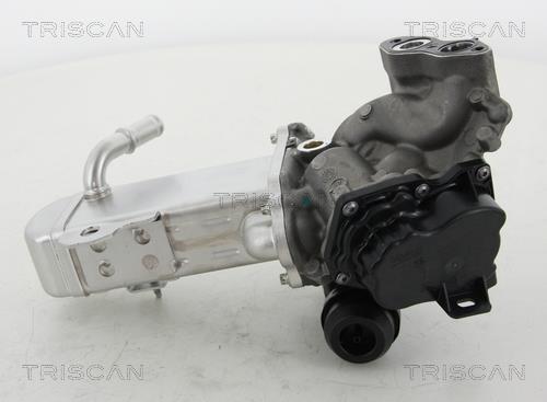 Vanne EGR Triscan A/S 8813 16014