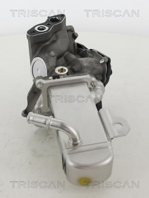 Vanne EGR Triscan A/S 8813 16014