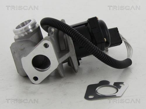 Válvula EGR Triscan A/S ref. 8813 16034