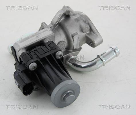 Vanne EGR Triscan A/S 8813 16036