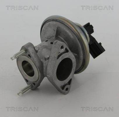 Vanne EGR Triscan A/S 8813 16043