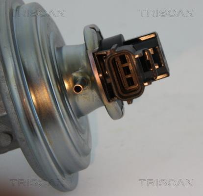 Vanne EGR Triscan A/S 8813 16045