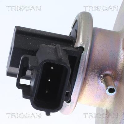 Vanne EGR Triscan A/S 8813 16054
