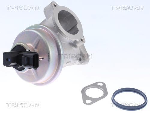 Vanne EGR Triscan A/S 8813 16054