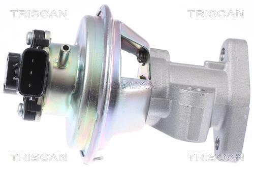 Vanne EGR Triscan A/S 8813 16069
