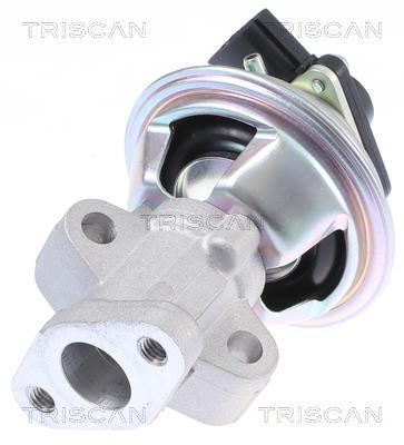 Vanne EGR Triscan A/S 8813 16069