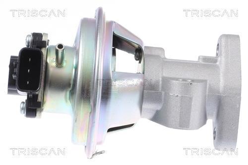 Vanne EGR Triscan A/S 8813 16069