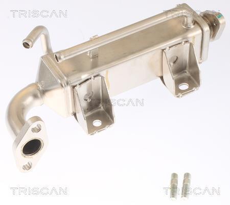 Radiador válvula egr Triscan A/S ref. 8813 16072