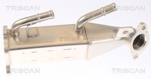 Radiateur, réaspiration des gaz d'échappement Triscan A/S 8813 16073